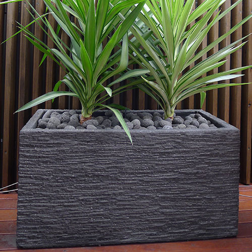 Kotak Rectangular Pot 