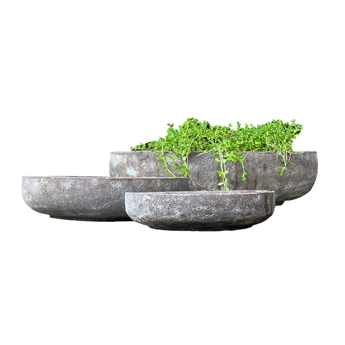 Ancient Low Bowl